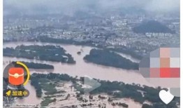 桂林最新爆料视频